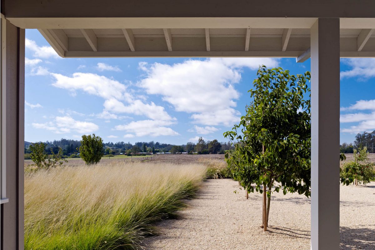 Alder Lane Farm ACLA