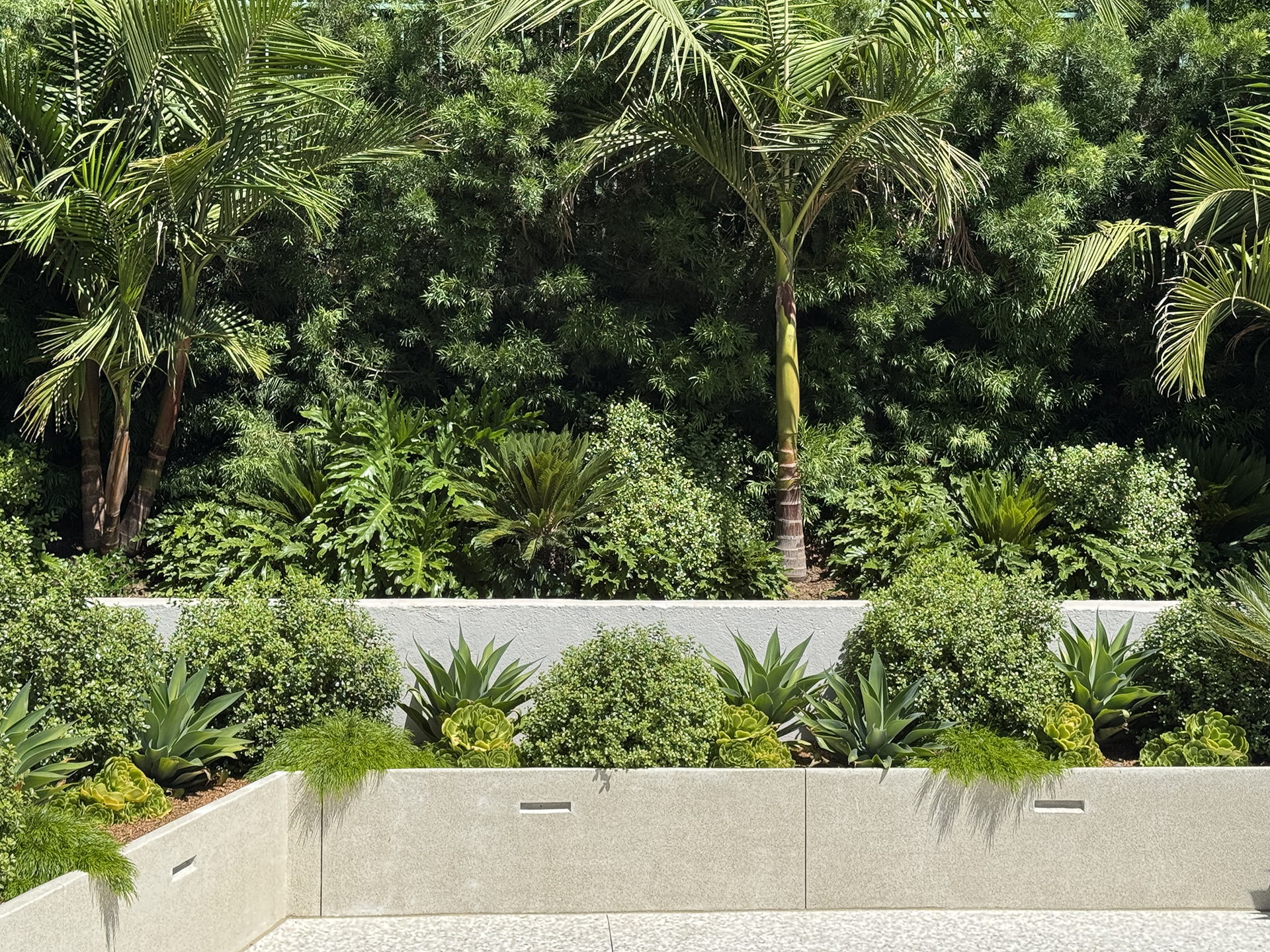Lush green landscaping featuring palm trees and low plants in structured beds, set against a textured stone wall.